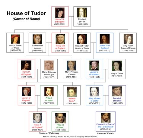 tudor coat of arms|house of tudor family tree.